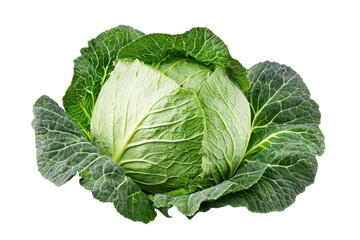 Obraz premium Fresh cabbage leaf with transparent background for health nutrition designs, png format