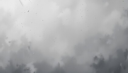 Atmospheric rainy outdoor nature photography