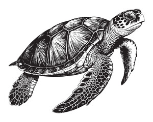 Fototapeta premium sea turtle woodcut engraving vector illustration