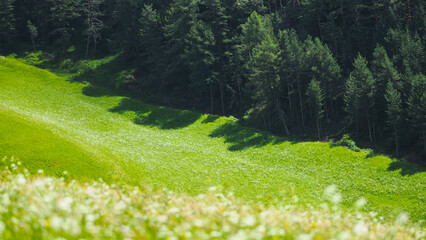 Dolomites in summer 