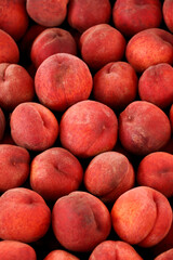 Peaches background. Top view. Fresh ripe peaches at the farmers market.