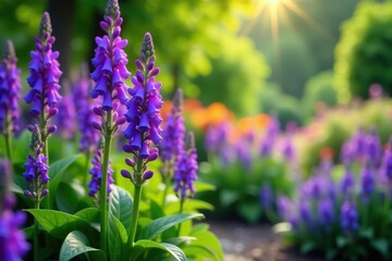Fototapeta premium Vibrant purple plants in a lush garden setting, showcasing the beauty of nature, nature, colorful