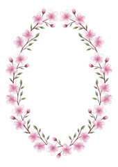 Elegant cherry blossom floral frame, botanical sakura wreath with delicate pink flowers and green leaves, hand-drawn watercolor style, isolated on white background