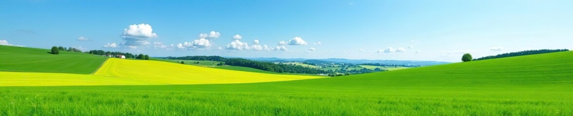Obraz premium Vibrant green fields stretch across the picturesque landscape of Innviertel, Austria, under a clear blue sky, sunny, rural