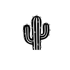 cactus vector illustration