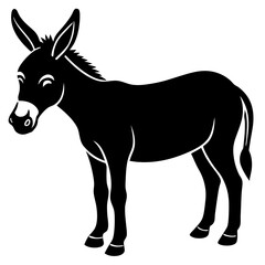 donkey isolated on white