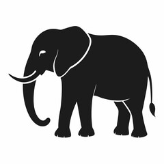 Fototapeta premium elephant vector illustration