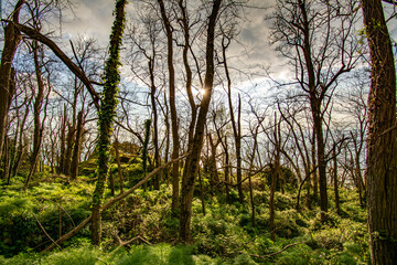 Hiking on Ischia Island, Mount Epomeo
