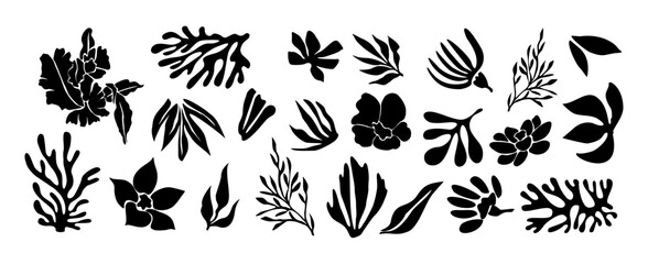 Fototapeta premium Set of flower and leaves silhouettes. Hand drawn floral design elements, icons, shapes. Wild and garden flowers, leaves black and white outline illustrations 