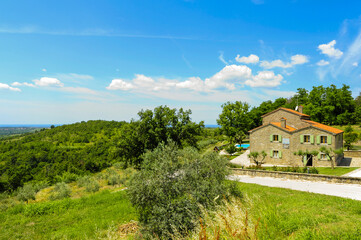 Fototapeta premium Istrien, Kroatien, Krasica