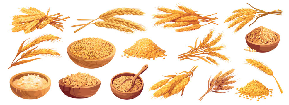 Cartoon wheat. Yellow ripe spikes grains in bowl, farm agriculture plant cereal, healthy organic food set vector illustration