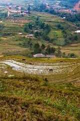 Sapa, Vietnam, 11-09-2024: cloudy day and rice fields in Sapa, the most renowned town in Northwestern Vietnam, a perfect combination made by nature and by the hands of the local ethnic communities