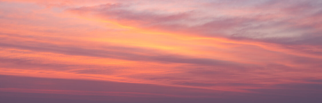 a tropical sky background, yellow, red, purple, and blue hues. Colors of the tropics in the sky