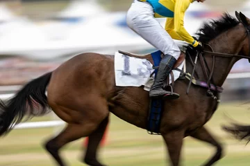  Abstract motion blur shot of a jockey and rider in a steeplechase horse race. © Wollwerth Imagery