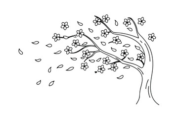 Windblown Blossoms Delicate Spring Tree, Flower Petals, Gentle Breeze