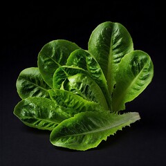 salat, AI