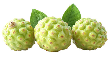 Fototapeta premium Tropical Noni Fruit Display: A vibrant, high-angle shot showcases the exotic beauty of the noni fruit, accompanied by verdant leaves. It is a celebration of natural health and wellness.