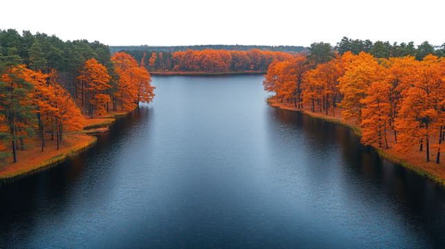Autumn Lakeside Serenity: A breathtaking view of a tranquil lake framed by vibrant orange autumnal trees under a soft sky, perfectly capturing the essence of fall.
