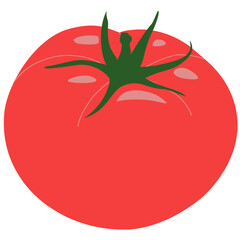 Bright Red Tomato Illustration with Green Stem