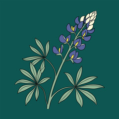 Bluebonnet vector Illustrator Artwork