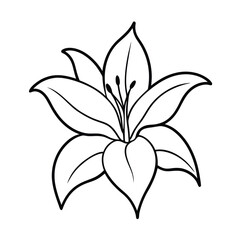 Elegant Line Drawing of a Simple White Lily Flower