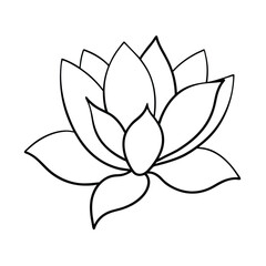 Elegant Outline Drawing of a Water Lily Lotus Flower