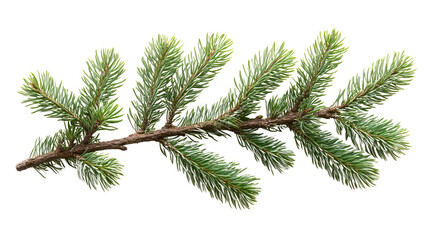 Evergreen Sprig Close-Up: A close-up captures the delicate beauty of a fresh, evergreen sprig with vibrant green needles against a simple backdrop.