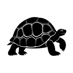  Extinct animal Pinta island Tortoise silhouette 