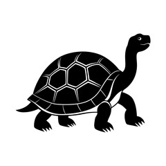  Extinct animal Pinta island Tortoise silhouette 