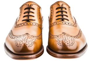 Isolated Frontal Leather Shoes