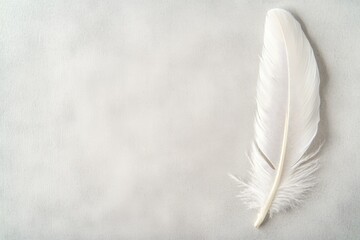 Obraz premium single elegant white feather rests on plain textured surface subtly symbolizing gratitude and appreciation through