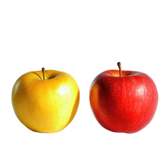 apples with detailed texture and crisp shadows on a white background