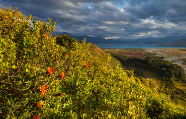 Patagonia