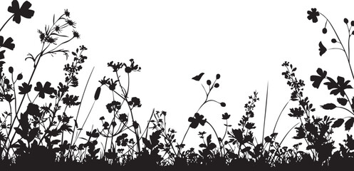 Silhouette of wildflowers and plants in a natural setting for botanical designs.