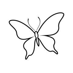 butterfly vector illustration