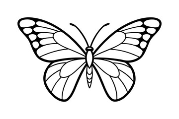 Obraz premium butterfly isolated on white