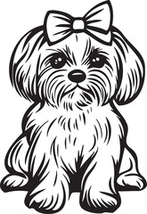 adorable maltese dog with bow on head