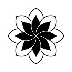 Fototapeta premium vector illustration of a flower