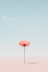 vibrant single 3d-rendered flower stands elegantly in center of plain serene backdrop its delicate petals inviting