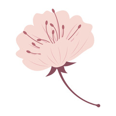 Elegant Sakura Flower Illustrations Flat Pastel Color