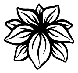 black and white plants with leaves or lotus flower without background