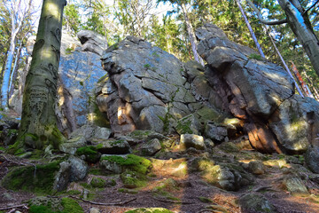 slopes of high mountains, fairytale forests at the foot of mountain peaks, wild nature
