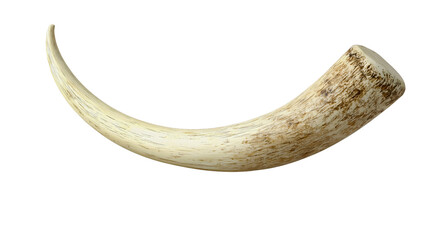 A large prehistoric mammoth tusk with various details that have fallen off due to time, an ancient mammoth tusk as a historical artifact.