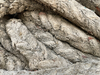 Textured, fibrous material in shades of gray, possibly related to natural or industrial processes, showcasing intricate details and layers.