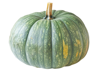 Isolated Green Buttercup Squash