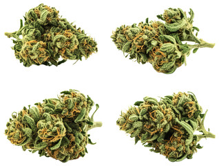 Four views of dried cannabis buds, transparent background png