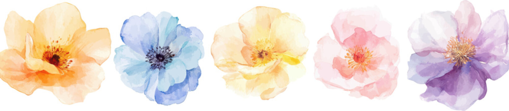 Watercolor floral clipart collection with soft pastel petals