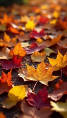 Fototapeta premium Vibrant autumn leaves on the ground with copy space, texture, nature, maple