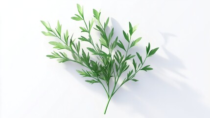 Naklejka premium Sprig of Green Leaves on a White Background