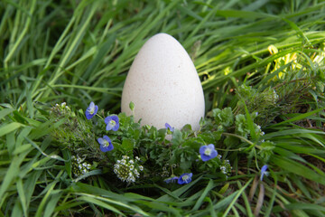 Easter egg in green grass with wildflowers